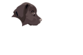 cropped-Rajamagra-logo-bianco.png